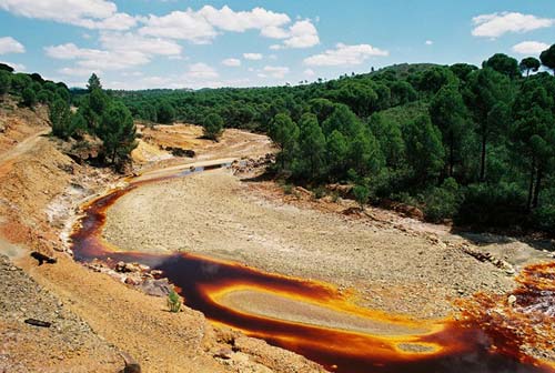 Исследуя Водные Тайны: 10 Захватывающих Фотографий