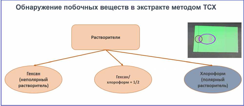 7 Опасных Последствий Кофейной Зависимости: Понимание и Предупреждение