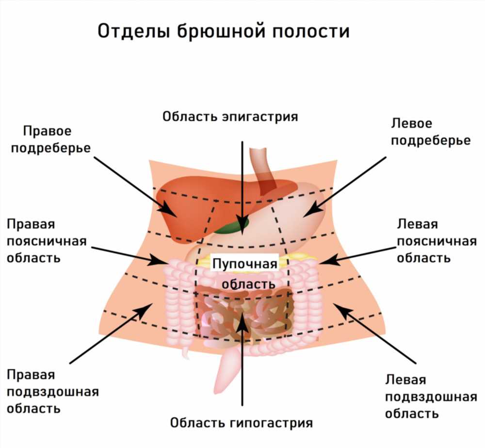 Диарея (Понос) как Симптом: Возможные Причины и Как их Распознать