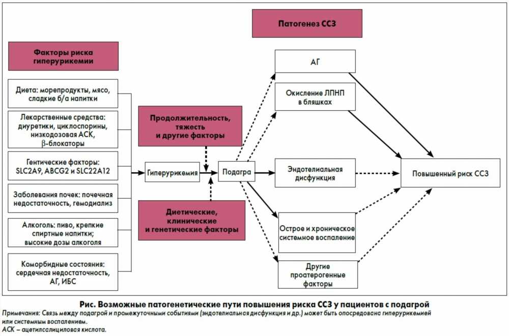 Диета при подагре: эффективные стратегии контроля симптомов