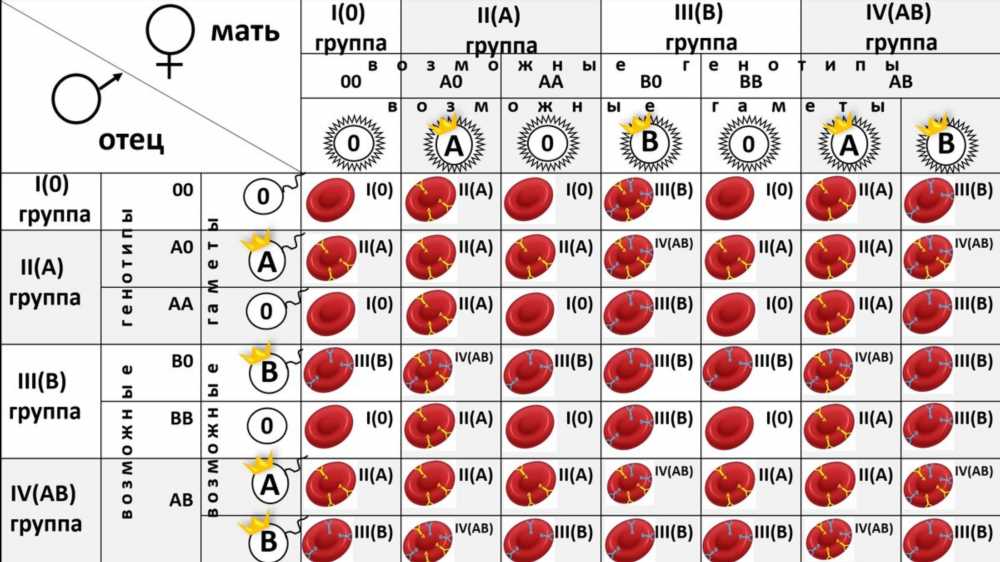 Исключения в группе крови у детей и родителей: Важная информация для здоровья семьи