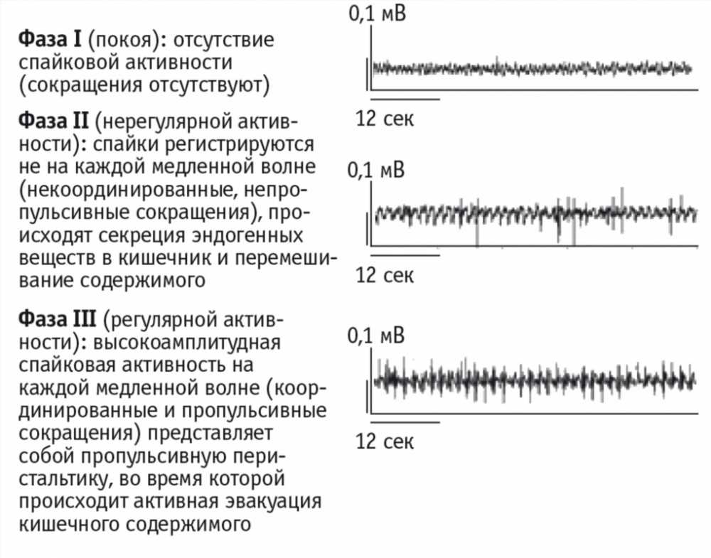 Механизм развития тошноты и рвоты: понимание процессов и их физиология