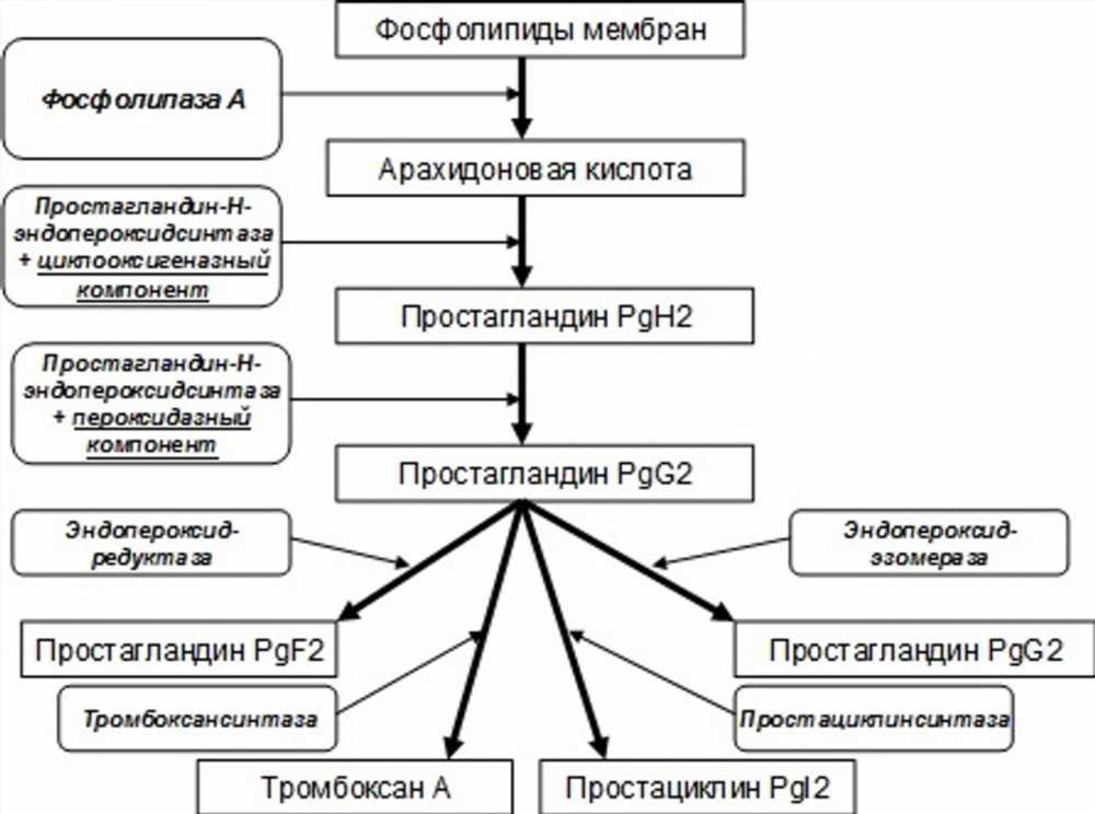 Новое поколение НПВС: Особенности и преимущества