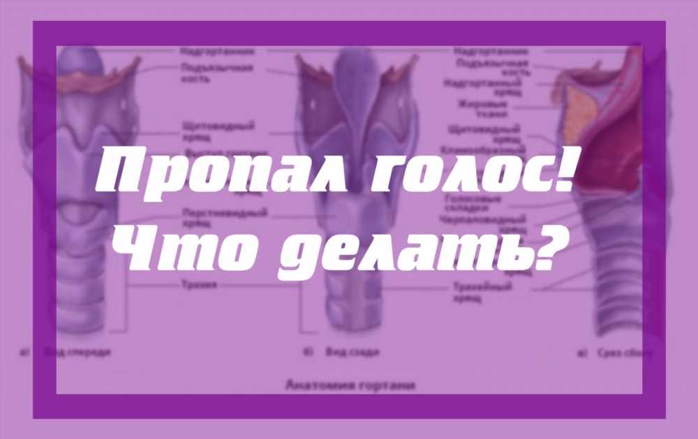 Почему пропадает голос: причины и методы предотвращения