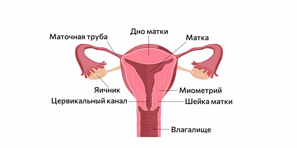 Разбираемся в возможных нарушениях менструального цикла: причины, симптомы и способы решения