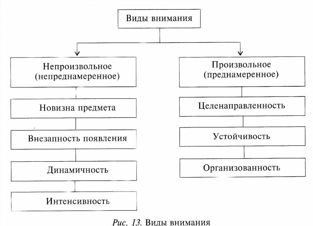 Развитие ощущений у детей: Как стимулировать восприятие мира в раннем детстве