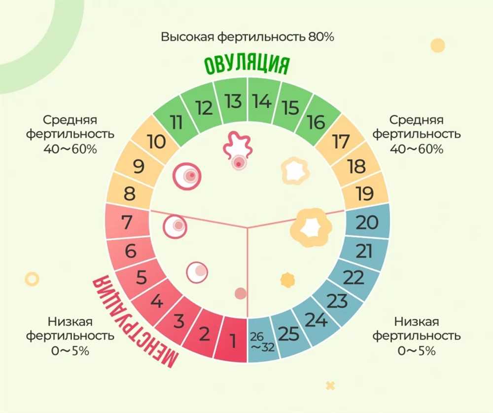 Способы Определения Созревания Яйцеклетки: Важные Методы и Техники