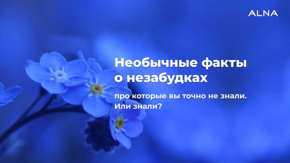 Узнайте больше: Загадочные и Захватывающие Факты о Цветах