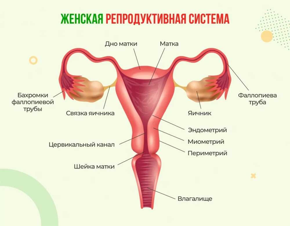 Влияние гормонального баланса на кисту яичника: Разбираемся в проблеме и способах решения