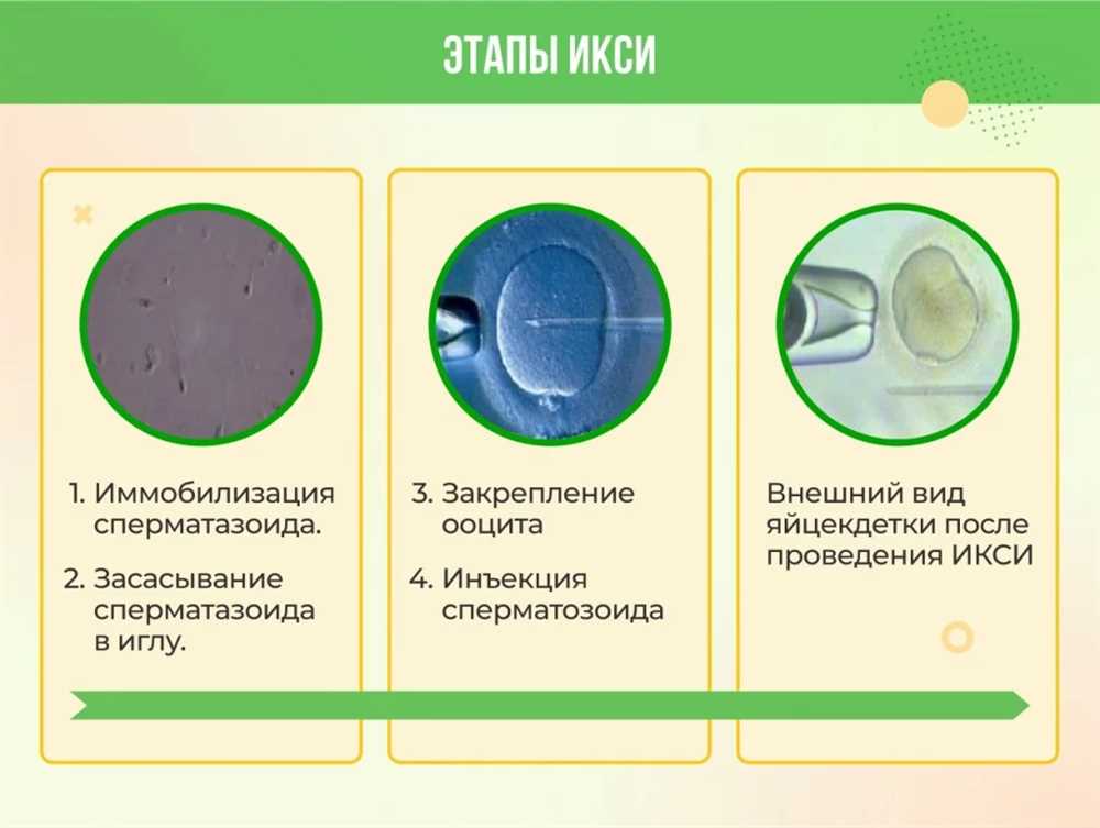 Восстановление функции яичников: ключевые методы и подходы для восстановления женского здоровья